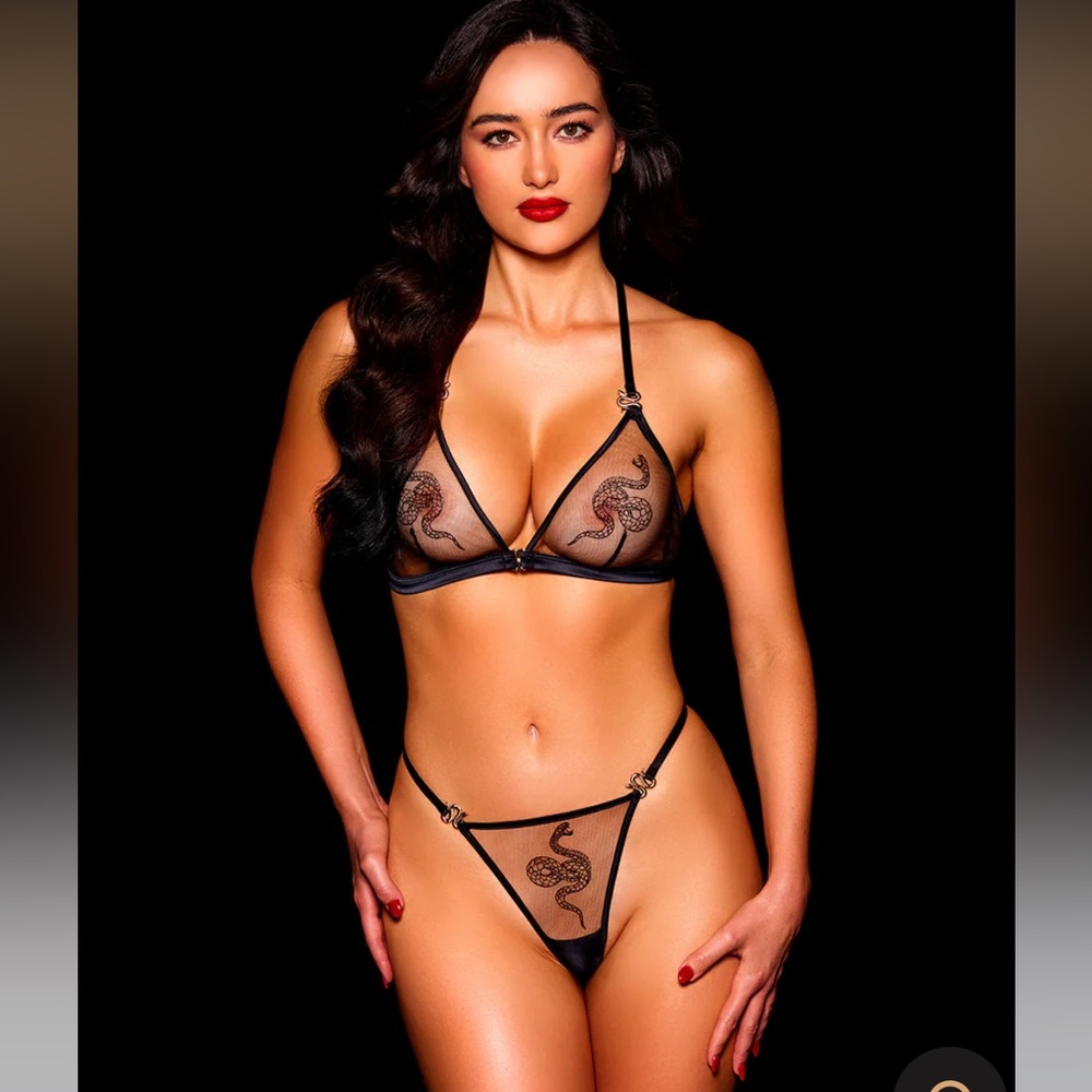 HONEY BIRDETTE  VIPER BRA & BOTTOM LINGERIE SET BRA L BOTTOM XS NWT 2 Items
